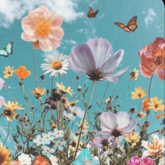 Meet your Posher, Delaney - Picture 1 of 1